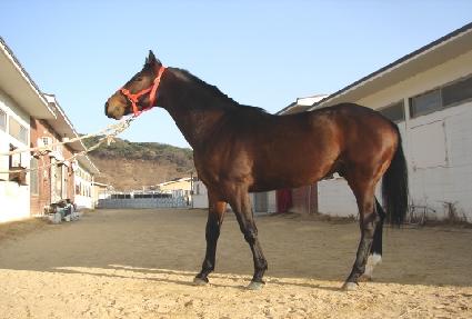 �ݳ��� ����