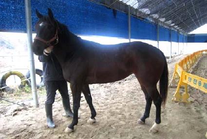 �ÿ���žܿ��ڸ� ����