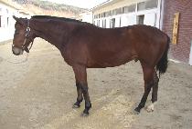 ǳ�� (PUNGNAN) ����