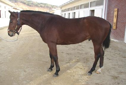 ǳ�� ����