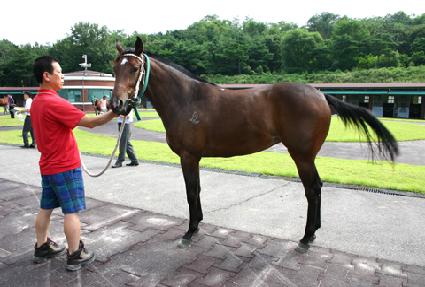 ���۵�� ����