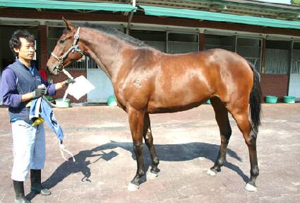 ����� ����