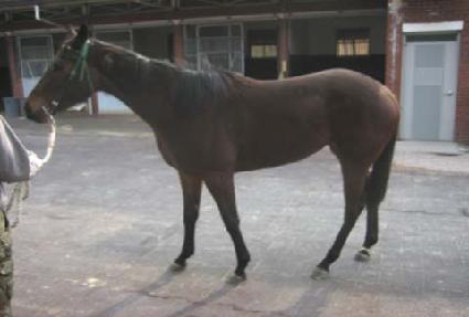 ������ ����