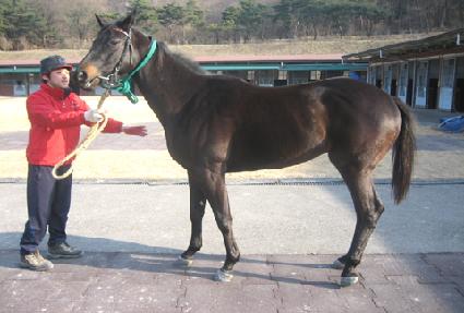 �߷յ��� ����