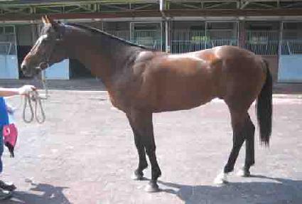 ���� ����