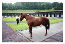 õ�Ϲ�� (CHEONHA BAEKDU) ����