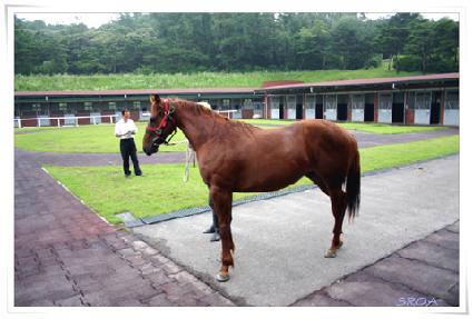 õ�Ϲ�� ����