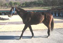 ������� (SAEBYEOKGISANG) ����