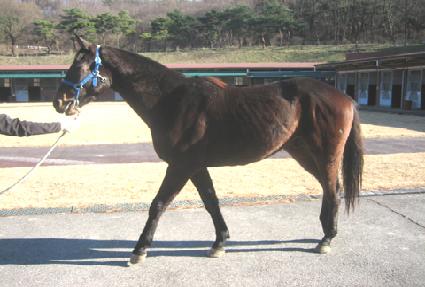 ������� ����