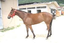 �������� (N.FOSTER) ����