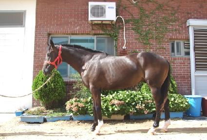 ���̽����� ����