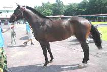 õ�������� (CHEONGUGUIJEONSEOL) ����