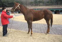 ū�η� (KEUNDURE) ����