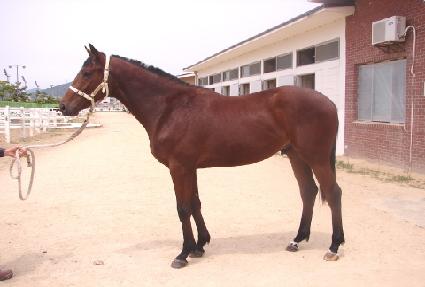 �ָ��¸� ����