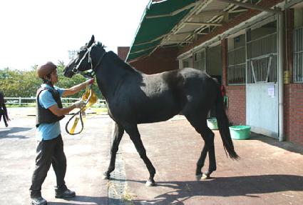 ������ ����