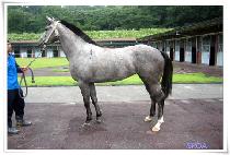 �Ͼ����� (HAYANJINJU) ����