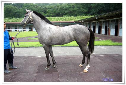 �Ͼ����� ����