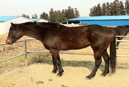 �Ƹ��� ����