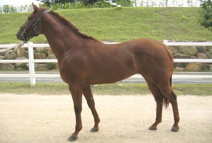 �ܵ����� ����