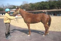 �������� (BEONGAE YEOSIN) ����