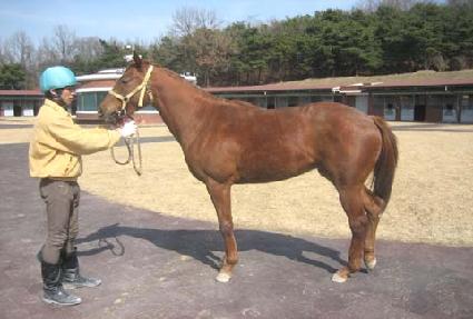 �������� ����