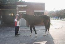 ü��Ű�� (CHEROKEE MAN) ����