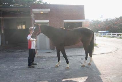 ü��Ű�� ����