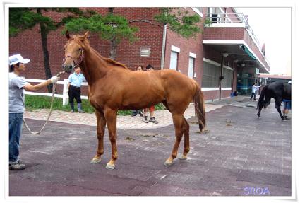 ���� ����