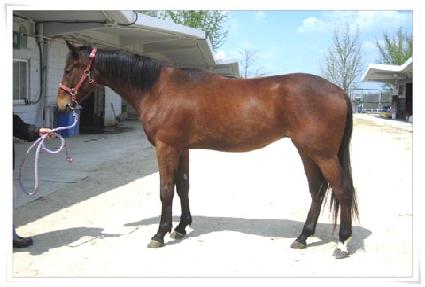 �Ѷ���� ����