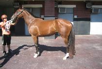 ��ǳ (GEUMPUNG) ����