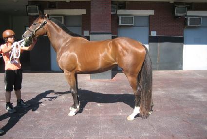 ��ǳ ����