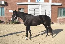 �츮ȣ�� (URI HOPE) ����