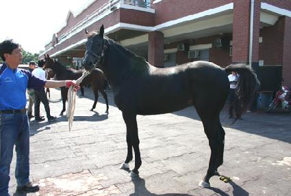 �𸷽� ����