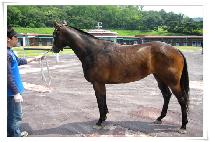 ��Ű���� (LUCKY RANSOM) ����