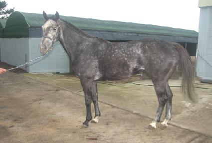 �������� ����