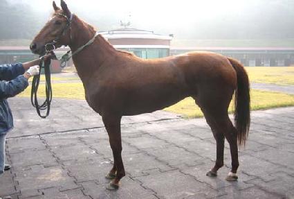 ��ε����� ����