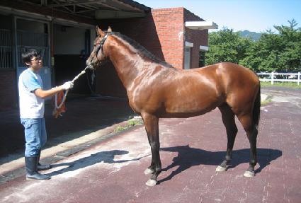 �߽� ����