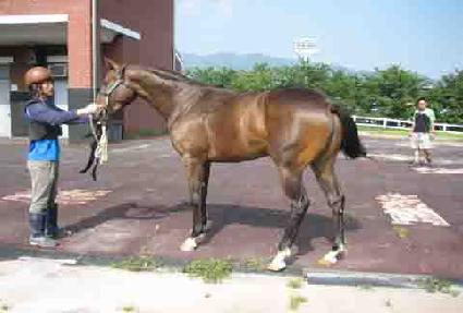 ���˺��� ����