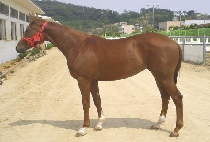 ����������� ����