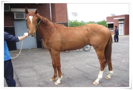 ��ö�� ����