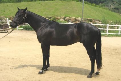 �ٶ����� ����