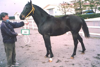 ������ ����