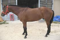 �⸷���º� (GIMAKHIN SEUNGBU) ����