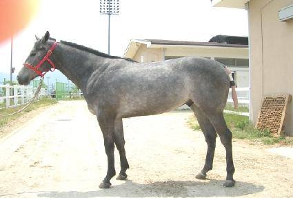 �ϴ��Ǻ� ����