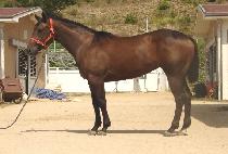 ���۰� (SUPER GIRL) ����