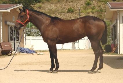 ���۰� ����