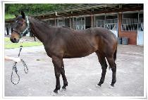 ���� (BOK RYEOK) ����