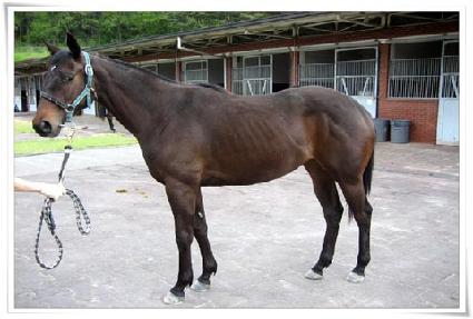 ���� ����