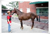 �������� (MYEONGMUN GABO) ����