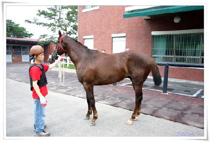 �������� ����